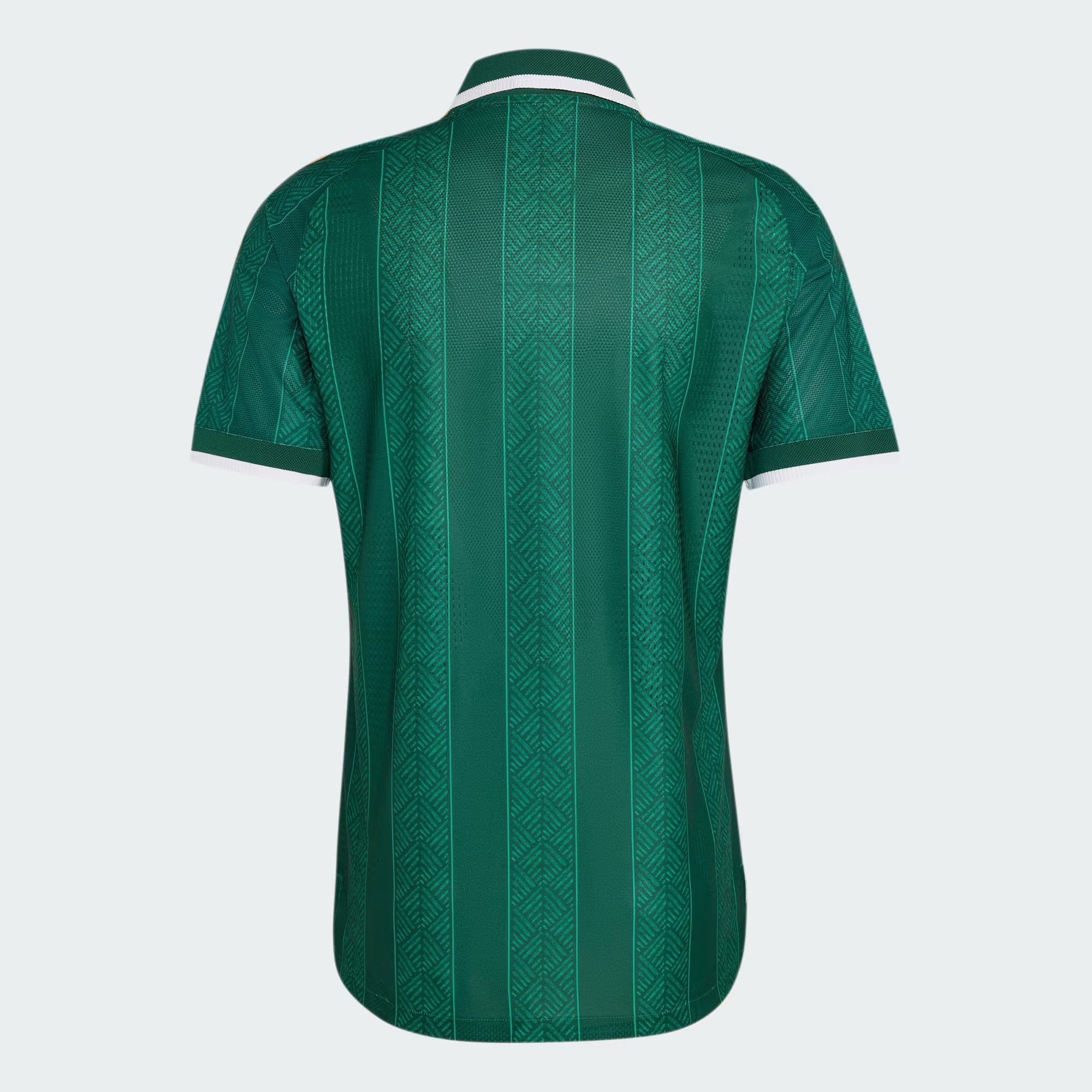Maillot Afrique du Sud Extérieur 2026